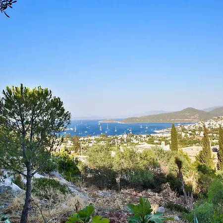 Important Group Bd420 High Privacy 6 Bedroom In *
