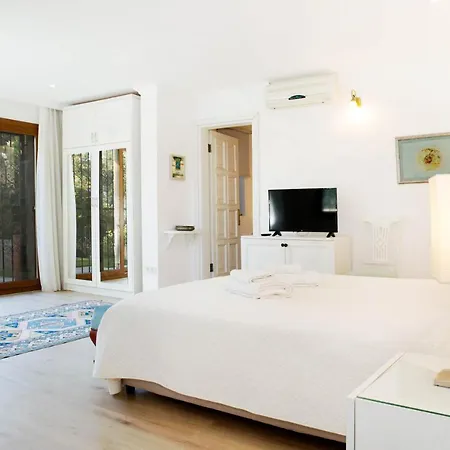 Important Group Bd420 High Privacy 6 Bedroom In Villa Göltürkbükü