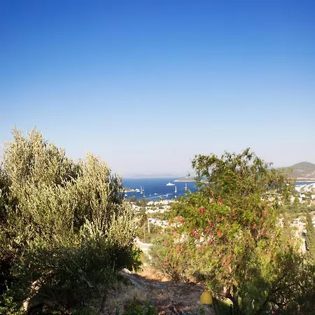 Important Group Bd420 High Privacy 6 Bedroom In